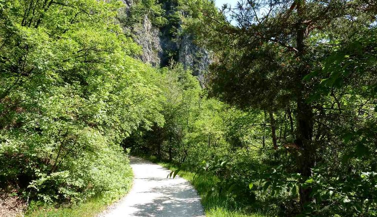 salurn duererweg zwischen laag und buchholz