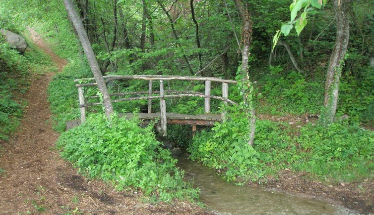 Bruecke Bach Troepltal wandern Wald RD