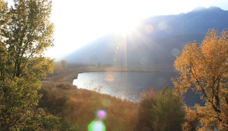 Kaltern Kalterer See Herbst