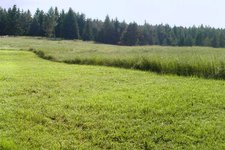 suedtirols sueden deutschnofen panorama new